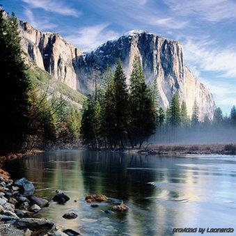 Summerfield Yosemite